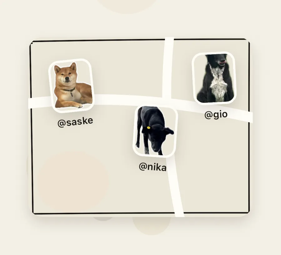 Other players' dogs on the map